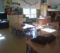 /album/fotogaleria/img-20121218-00065-jpg/
